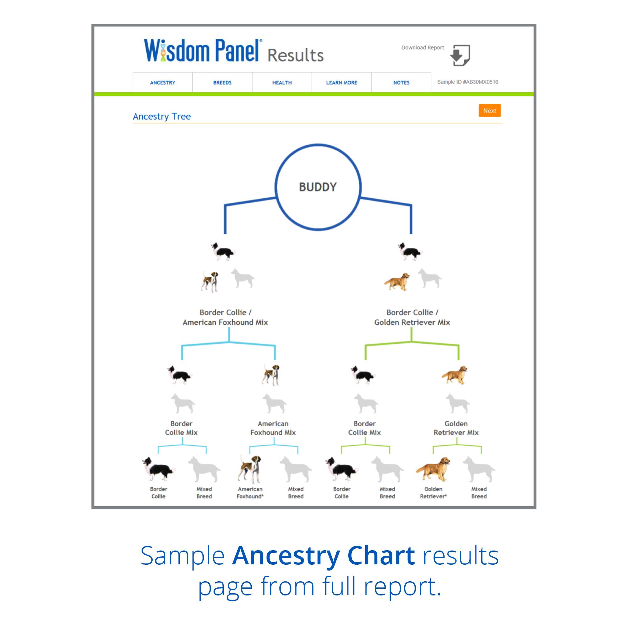 wisdom panel dog dna