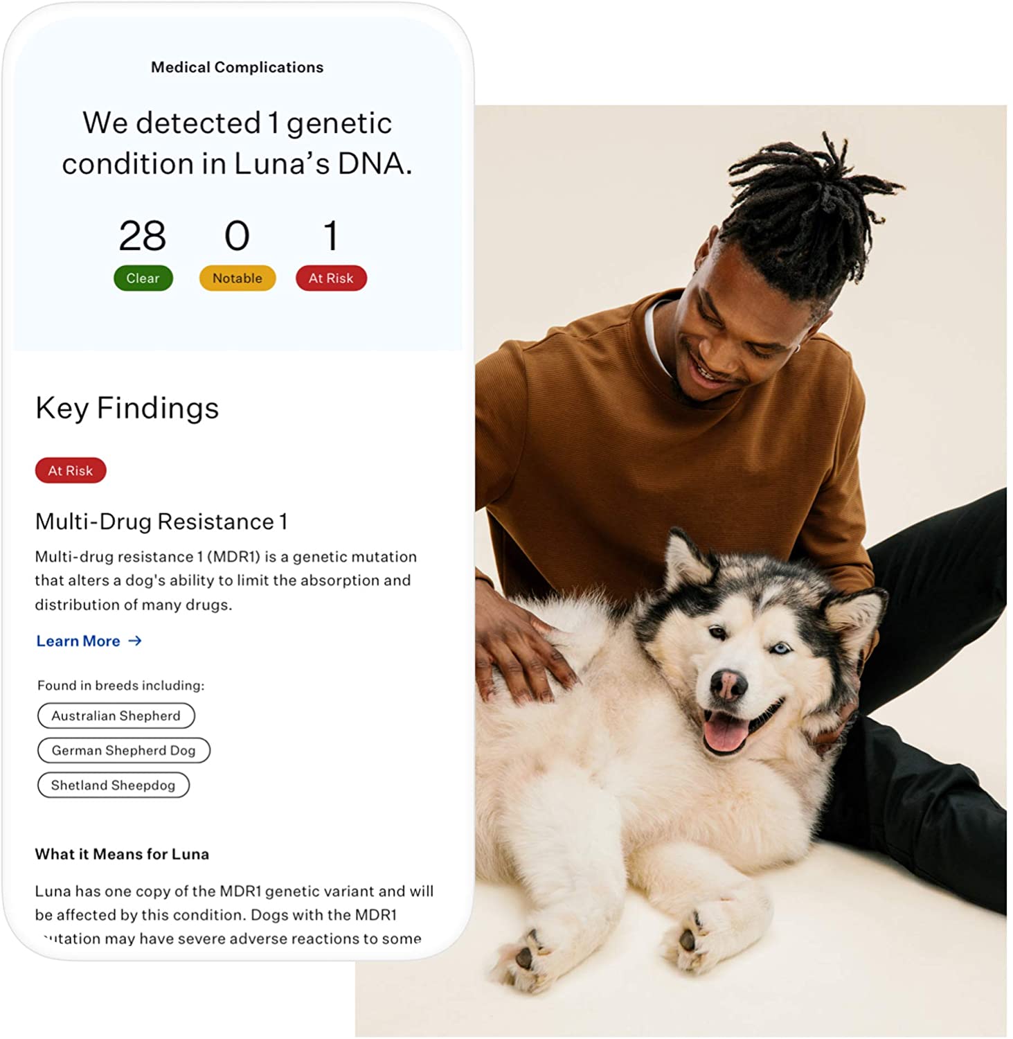 Wisdom Panel Essential Dog Medical Complications