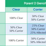 von Willebrand Disease DNA Testing Result Chart